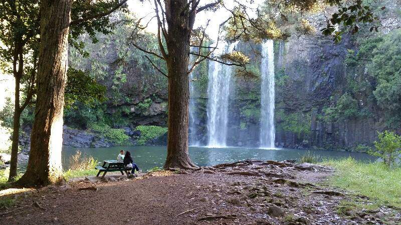 Waterfalls, Streams, And Kauris