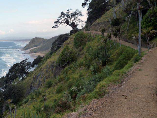 Excellent Headlands / Beach Loop