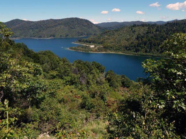 Home To Lake Waikaremoana