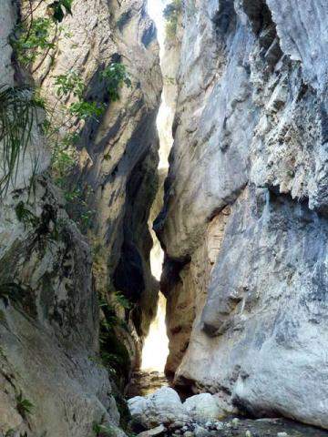 NZ&#039;s Finest Slot Canyon