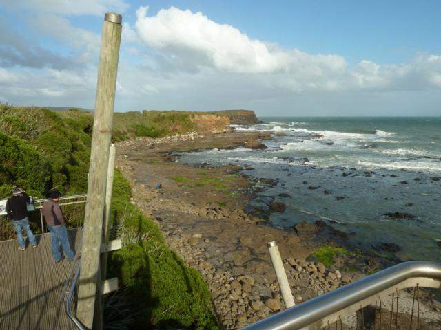 Jurassic Playground With Mini-Dolphins