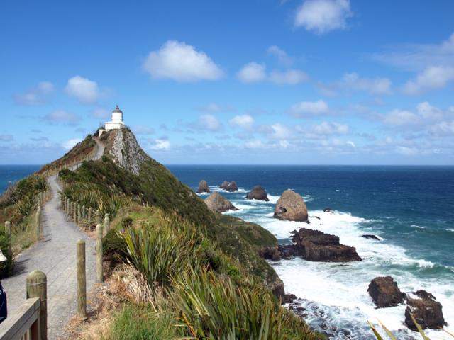 Scenic Lighthouse Photo-Op &amp; Penguin Viewing