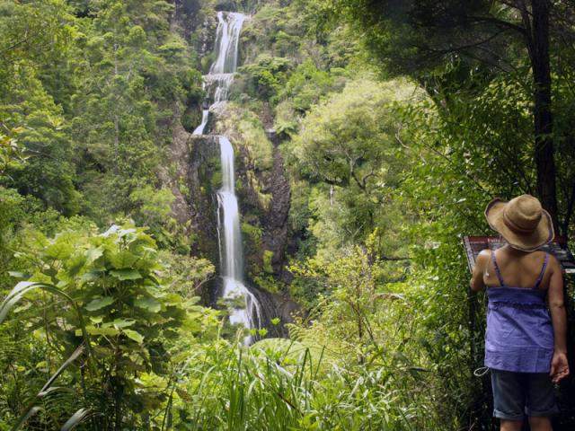 Waitakere&#039;s most popular beach